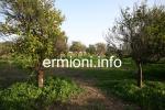 GL 0172 - Plot of land - Wista - Ermioni
